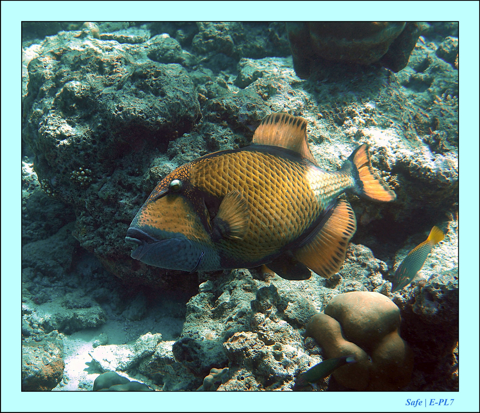 2023 - 07 - Sandies Bathala - 163